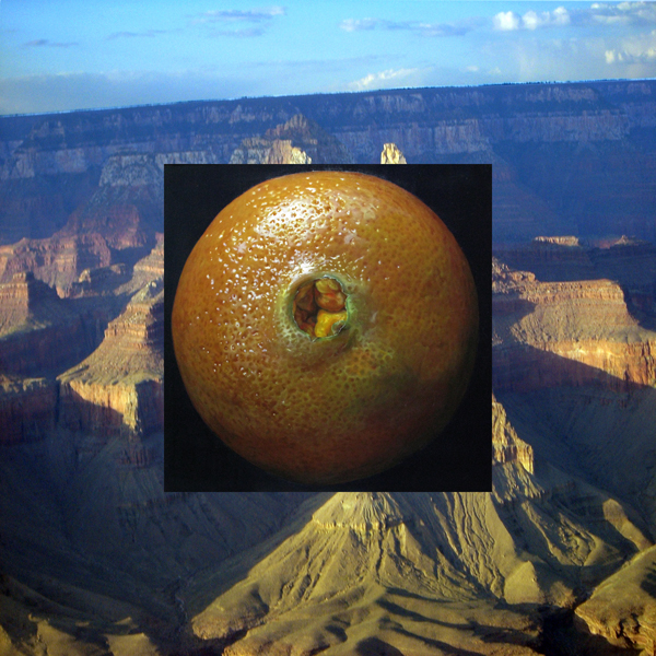 William Newman, Orange on Grand Canyon