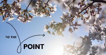 To the Point: Cherry Blossoms