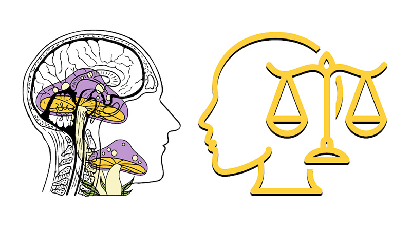 Illustration of brain with psychedelic mushrooms opposite brain with scales of justice