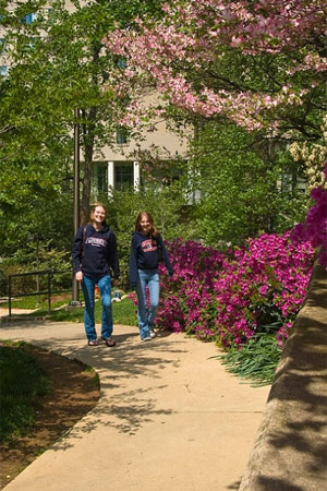 AU students on campus garden path.