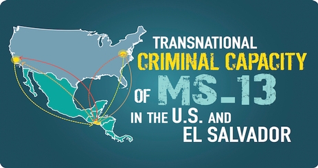 Transnational Criminal Capacity of MS-13 in the US and El Salvador