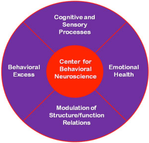Behavioral excess, emotional health, cognitive and sensory processes, modulation of structure-function relations