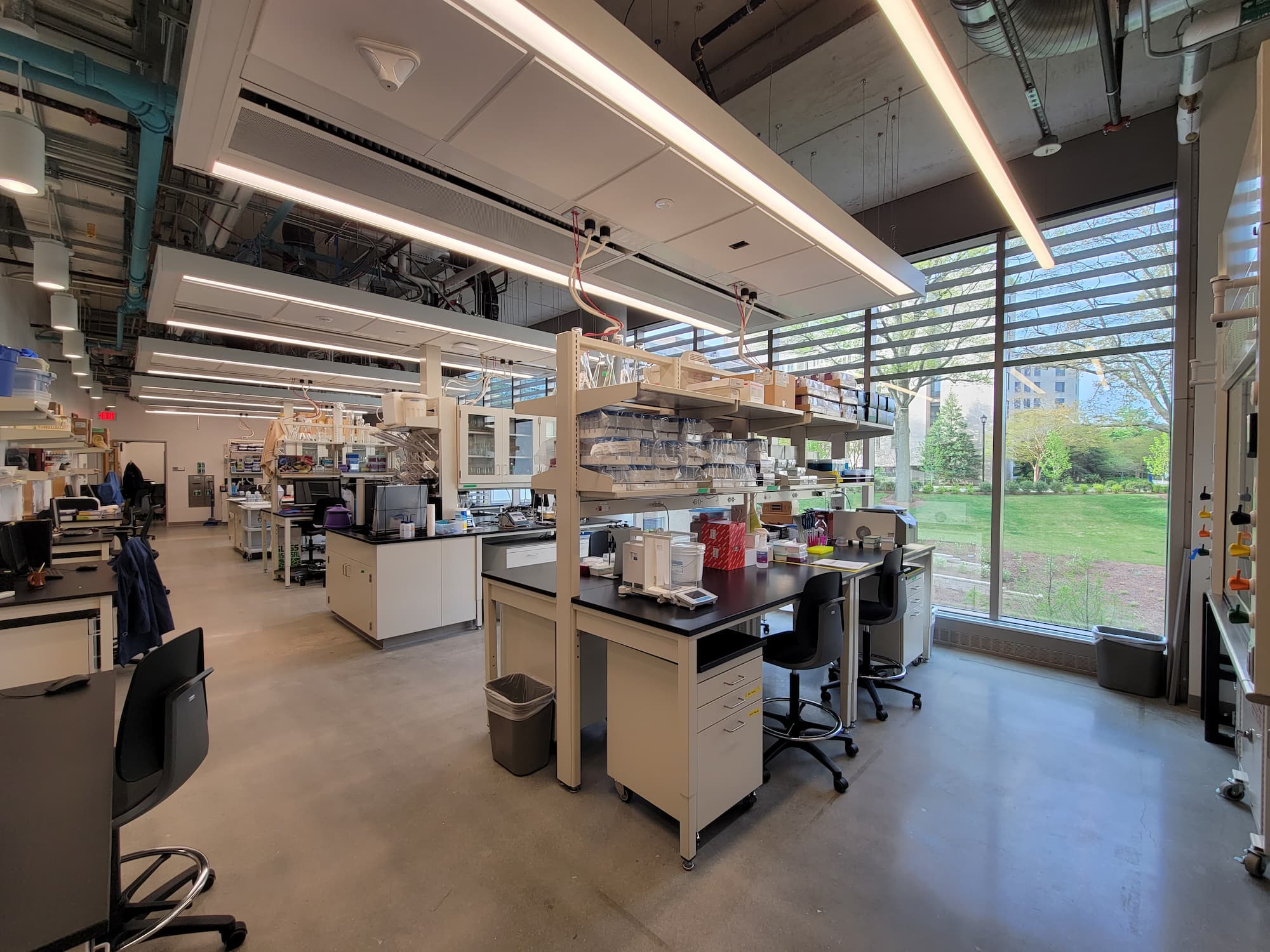 Laboratory in the new Hall of Science