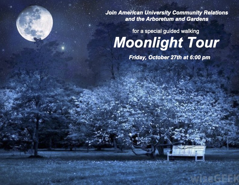 Moonlight Tour Oct 2023