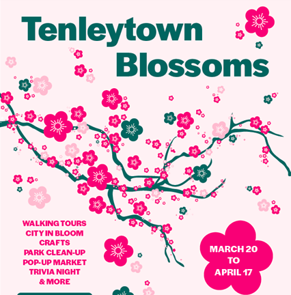 Tenleytown Blossoms - cropped poster