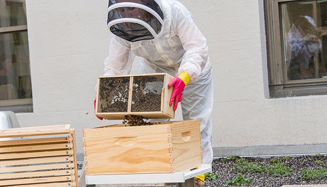 Beekeeper on campus