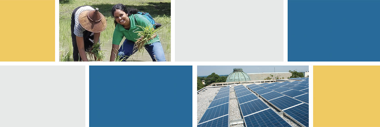 Annual report cover - student works in rice field on environmental project and AU roof is covered in solar panels