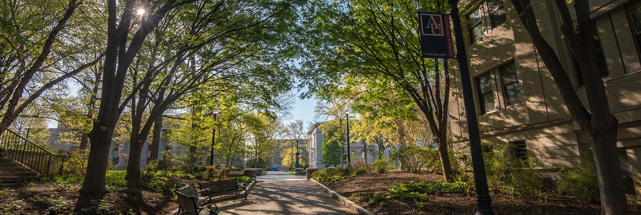 Trees on campus, between the Kogod Building and the Battelle-Tompkins Memorial Building