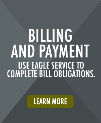 Use EagleService to complete student bill obligations
