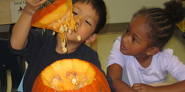 Two children looking at a pumpkin