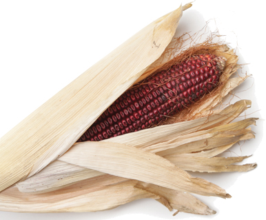 Native corn