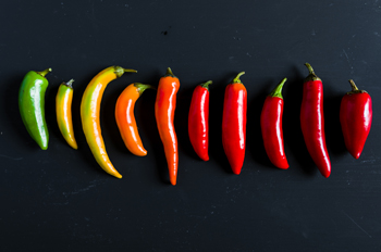 Red, yellow, orange, and green peppers lay on a black background