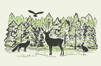 woodland creatures in a forest