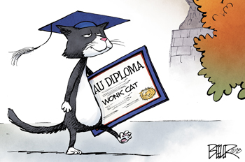 wonk cat carrying a diploma