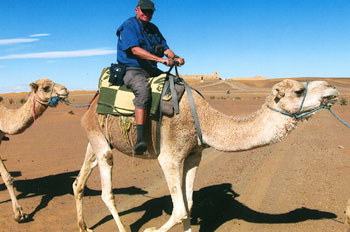 David Pattison riding a camel