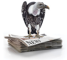 a vulture sitting on a stack of newspapers
