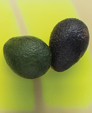 two avocados