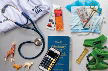 A lab coat and stethoscope; crackers; surgical equipment; a passport; needles and blood tubes; Patriot League championship rings; a canine toothbrush; animal figurines; Drug handbook; dog treats; bike lock and helmet