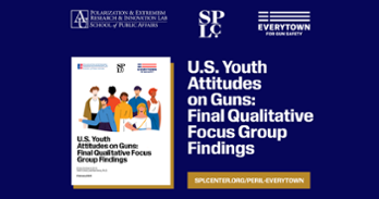 Youth Attitudes on Guns