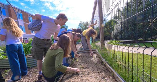 Students look at the planters in the AU Community Garden. Photo by Jeff Watts.