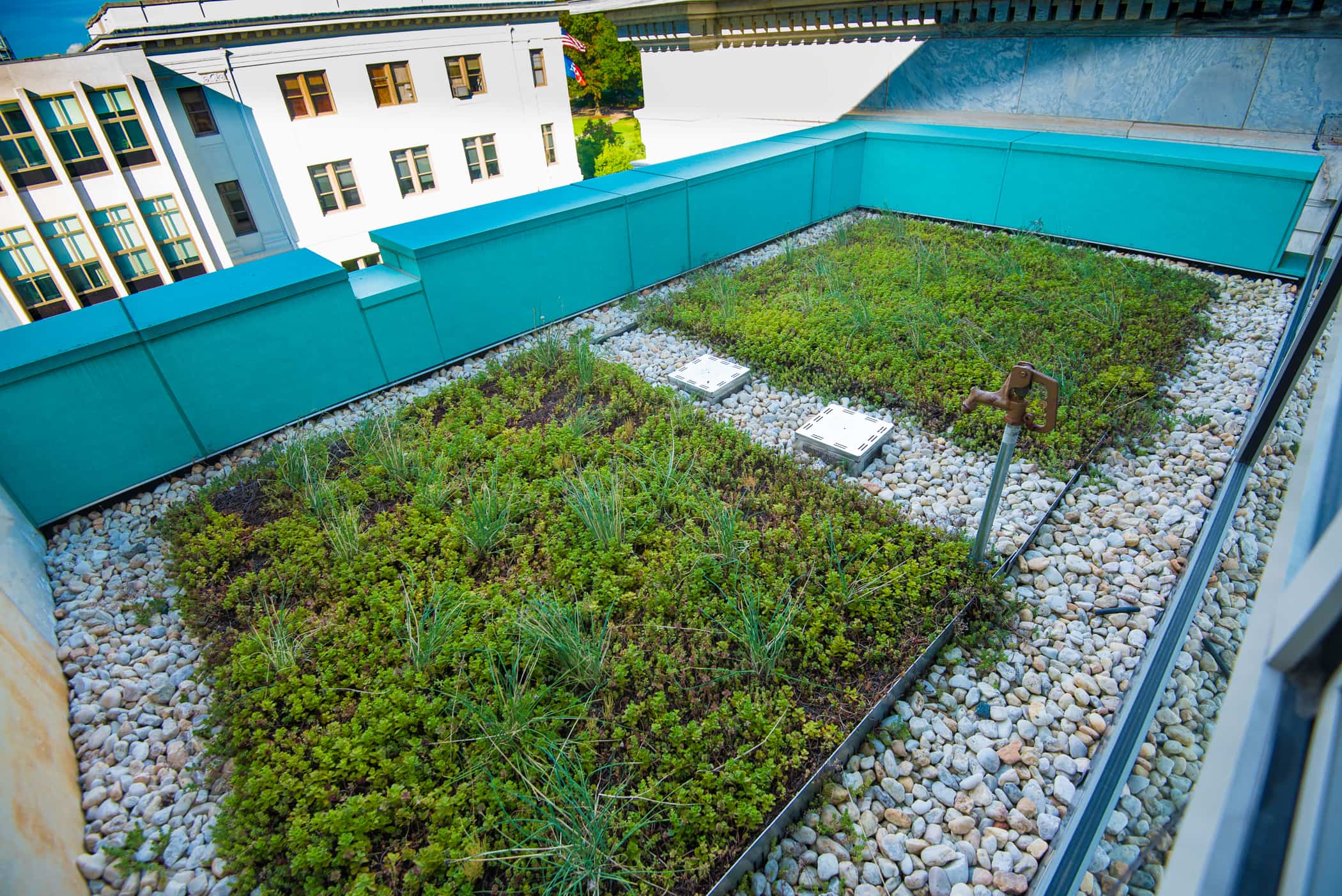 A green roof on an AU campus building.