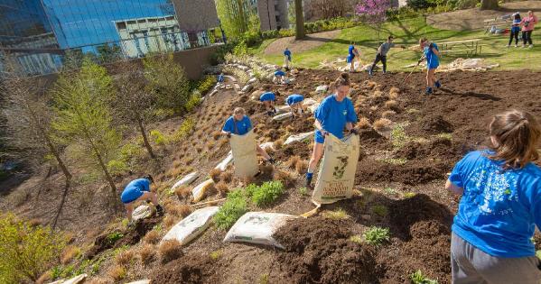 Volunteers work on campus during the 2023 Campus Beautification Day.