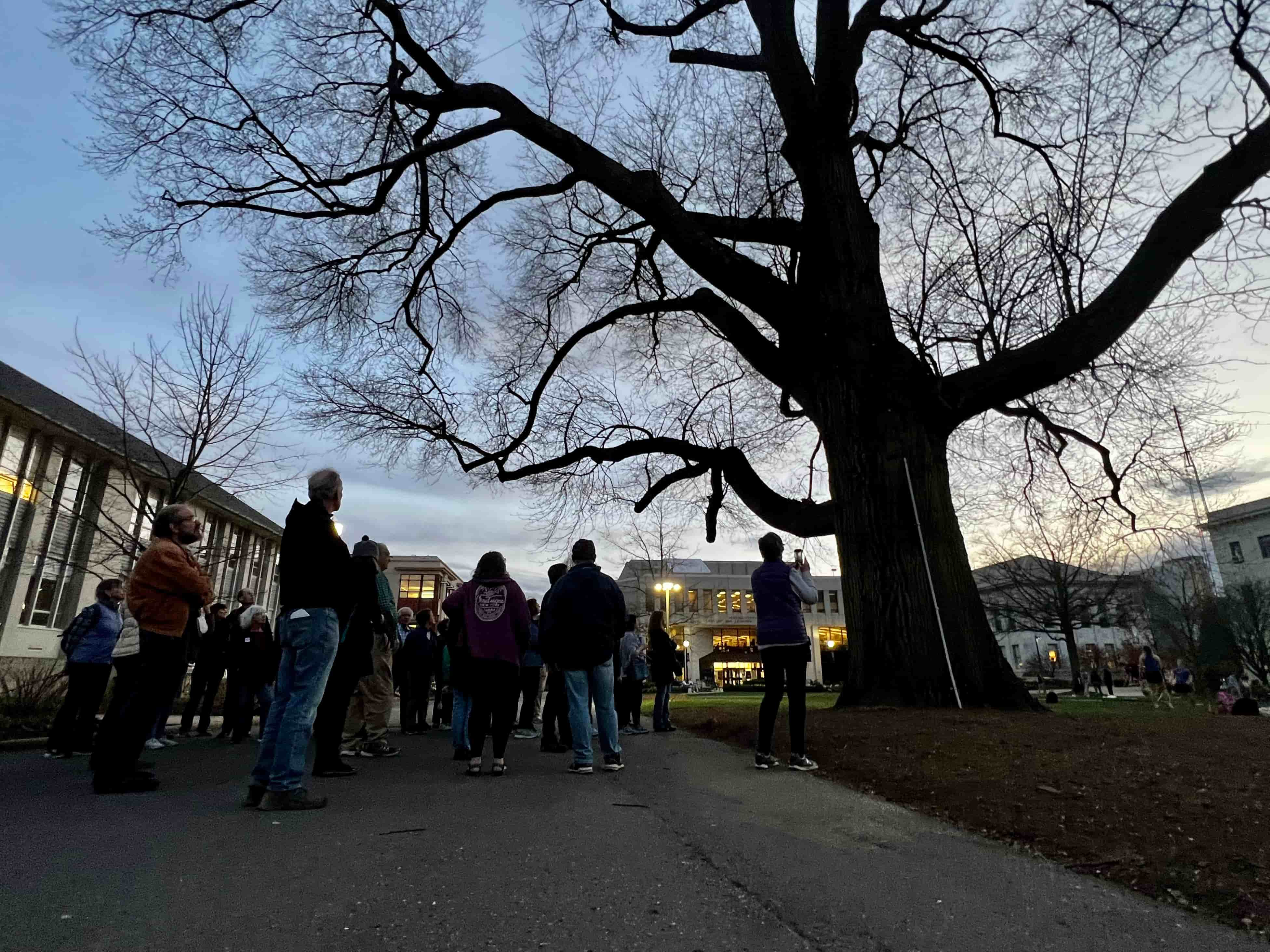 The moonlight tour passed a scarlet oak in front of Hurst Hall believed to be more than 140 years old.