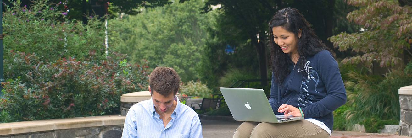 Students using laptops on the Quad