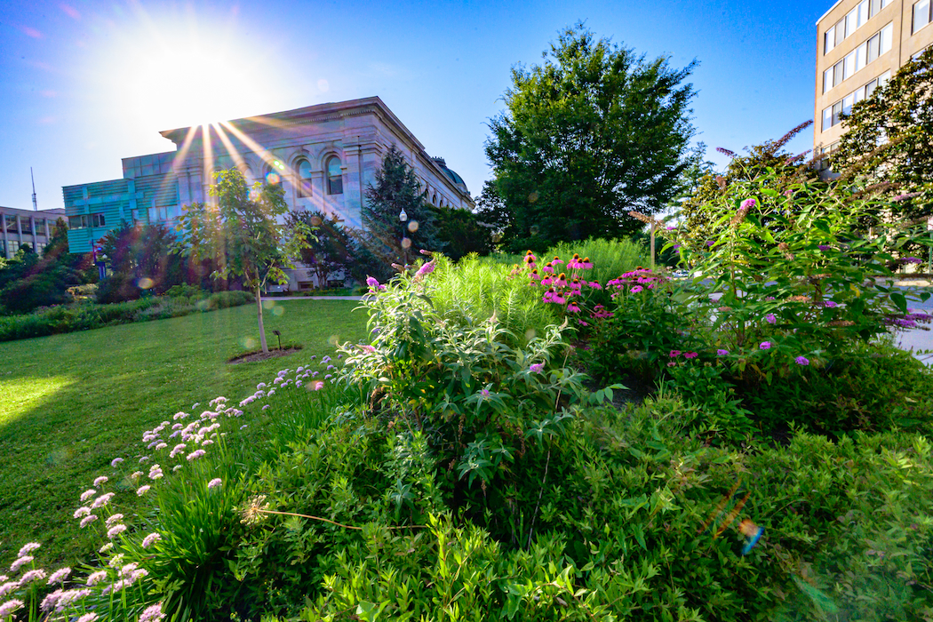 AU Campus