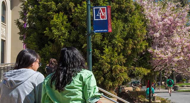 An American University pennant against a backdrop of cherry blossoms