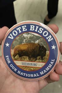 Vote Bison