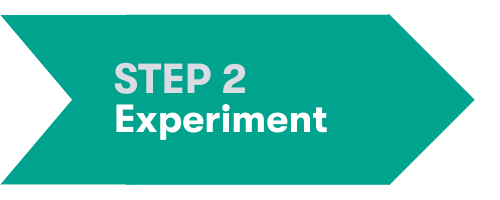 Step 2: Experiment