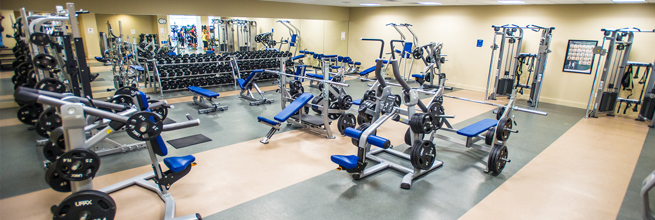 Cassell Fitness Center Strength Equipment