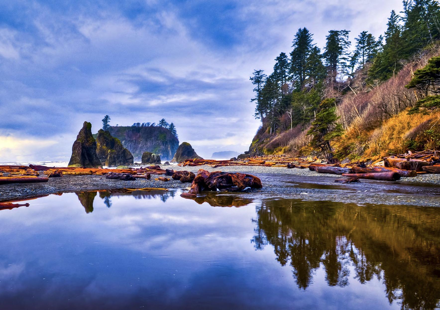 Misty bluffs covered in evergreens overlook water against a blue sky.