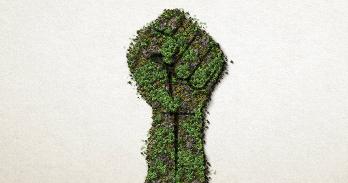 Plants in the shape of a fist