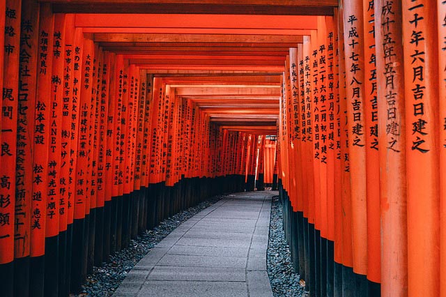 a walkway through a tunnel of torii gates, which mark the approach to a Japanese shrine