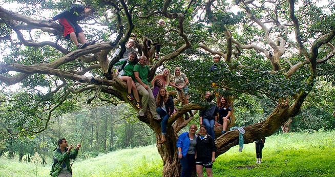 students hang out in the branches of a tree in Costa Rica