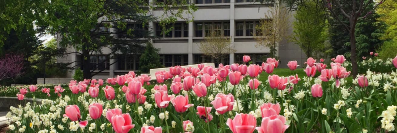 Flowers bloom outside of the Ward Circle Building