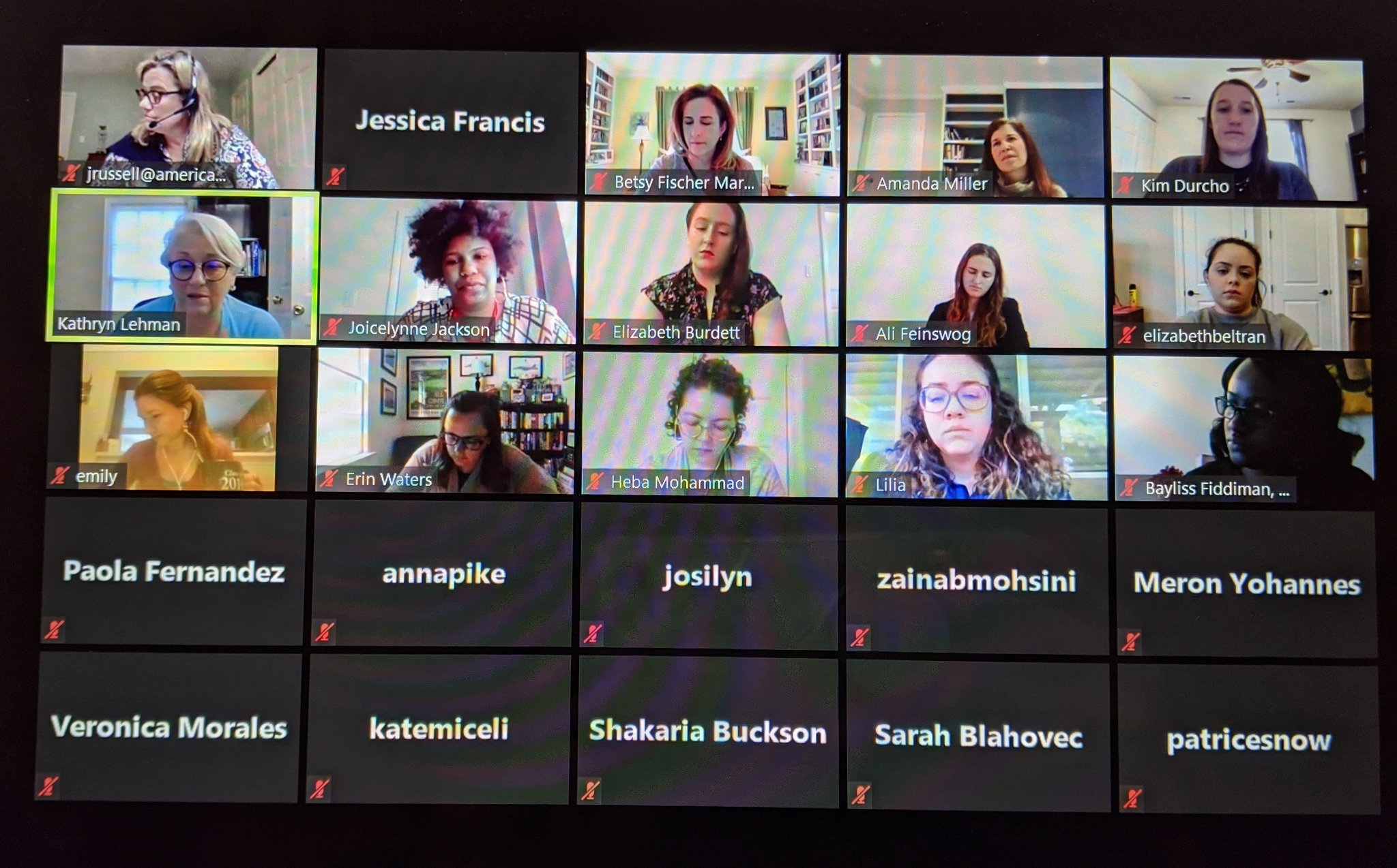 Virtual WeLead session in Zoom gallery view