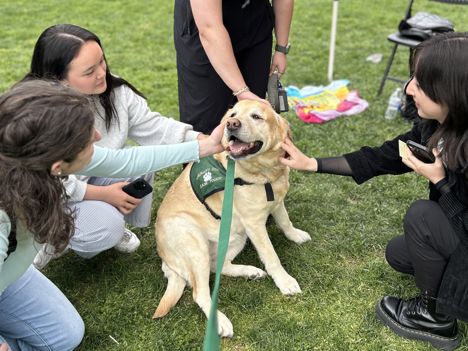 Four people pet a therapy dog sitting in the grass.