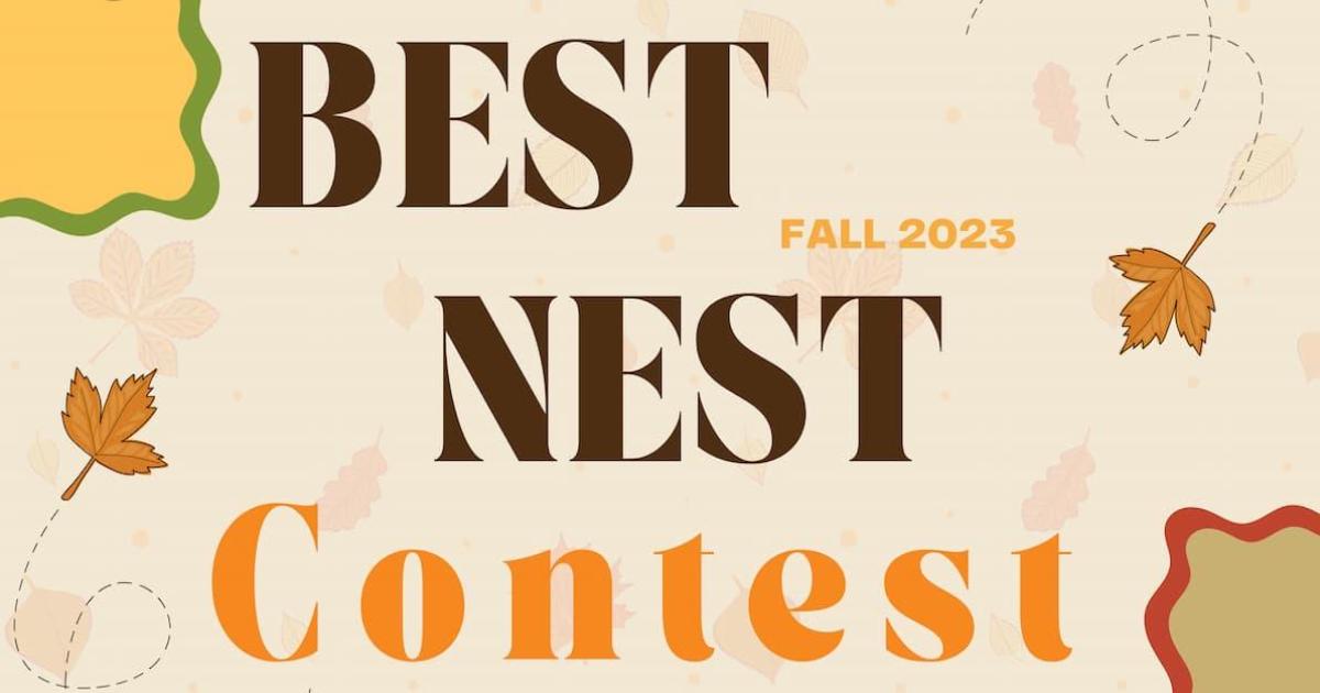 Best Nest Header 2023