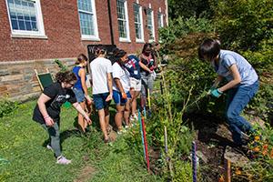 Incoming Students Get to Know DC History and Culture By Serving the ...