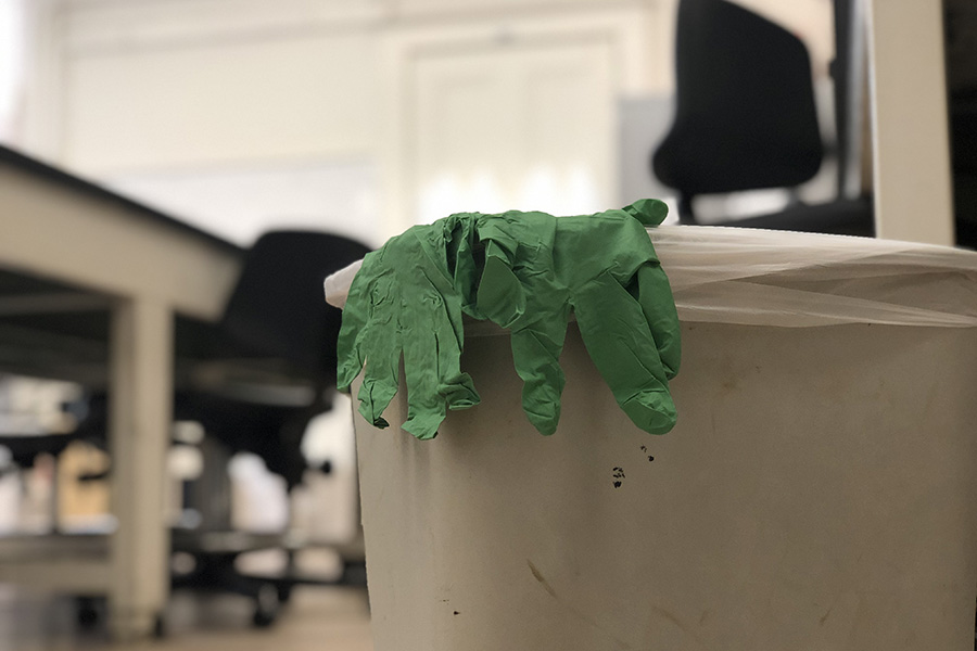 Biodegradable gloves can be tossed out in the trash
and will decompose in approximately three years.