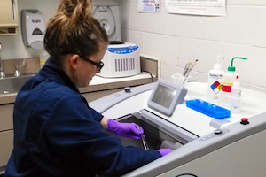 Student works in a lab at a cryogenic workstation.