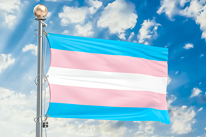 blue pink white flag