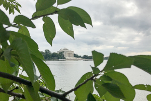 The Jefferson Memorial at the DC Tidal Basin