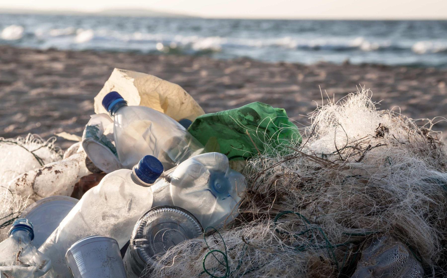 Fourth Annual Animal Law Symposium Presents: The Global Plastics Crisis: Legal Solutions and the Path Forward Fourth Annual Animal Law Symposium Presents: The Global Plastics Crisis: Legal Solutions and the Path Forward